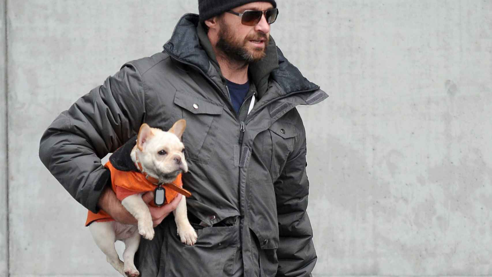 El actor Hugh Jackman pasea a su bulldog francés.