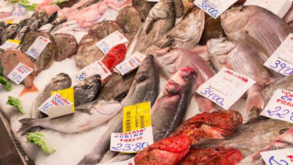 Elegir los pescados blancos para huir de las grasas puede hacer que nos estemos perdiendo otros nutrientes esenciales