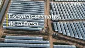 Esclavas sexuales en los campos de la fresa en Huelva