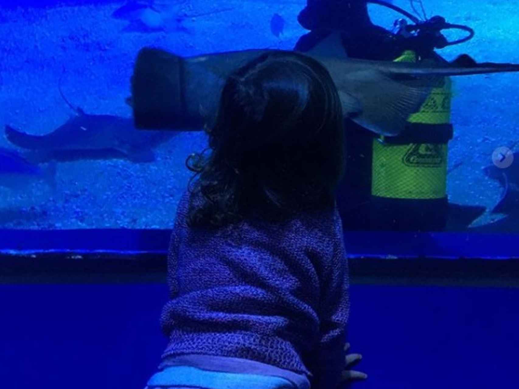 La pequeña Alma en el acuario con sus padres. Redes Sociales.