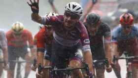 Viviani celebra su victoria en la 17ª etapa del Giro, la cuarta de esta edición.