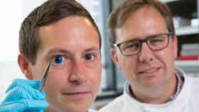 cornea impresa en 3d con celculas humanas trasplante humano