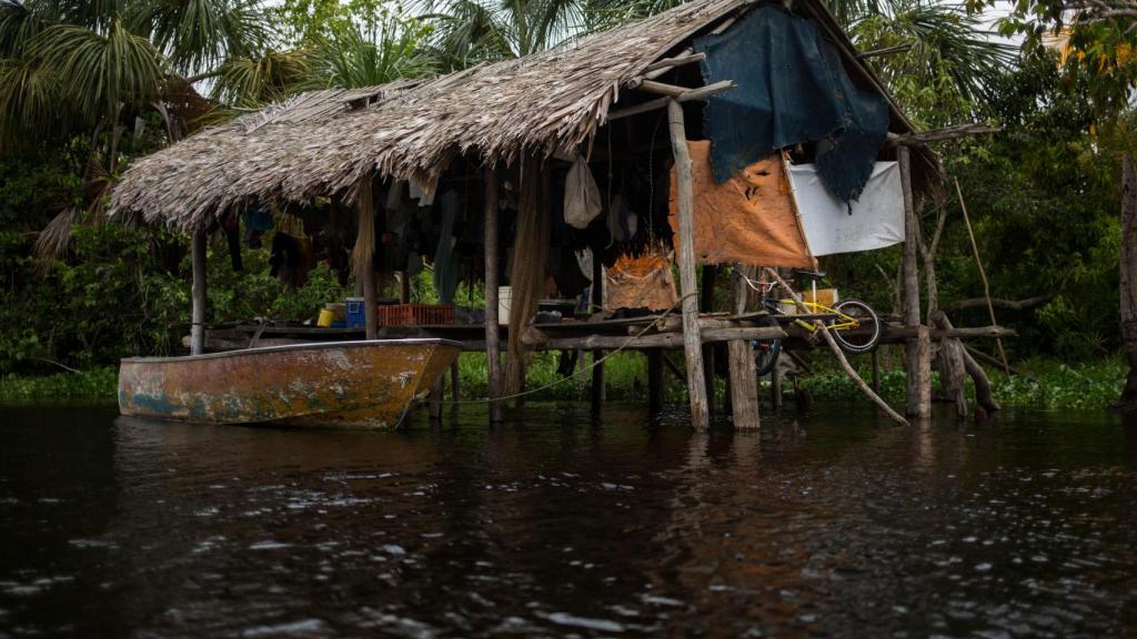 Un palafito es una precaria vivienda de madera sin paredes que se construye sobre un río.