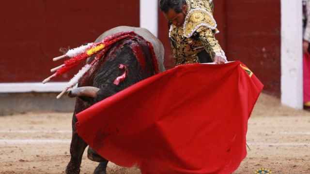 Natural de Luis Bolívar a 'Chupetero', el mejor toro de la tarde