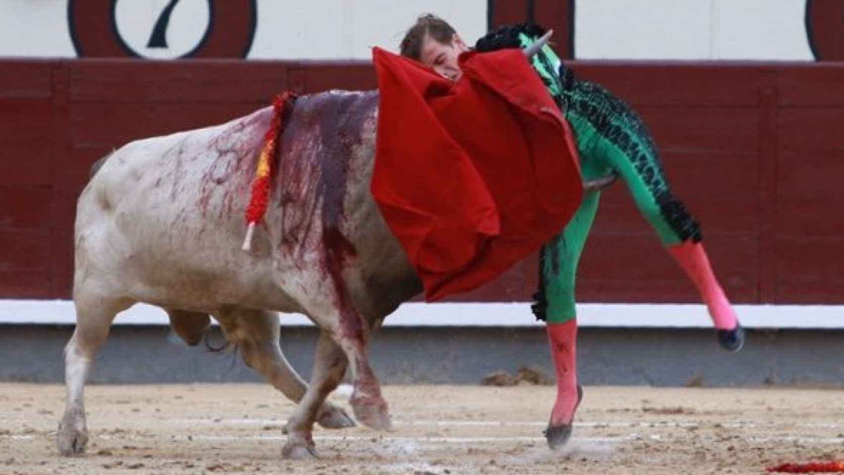 Javier Cortés, cogido por el toro 'Mulato'