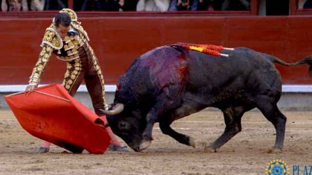 Derechazo de Pepe Moral a 'Chaparrito', el buen toro de Adolfo Martín
