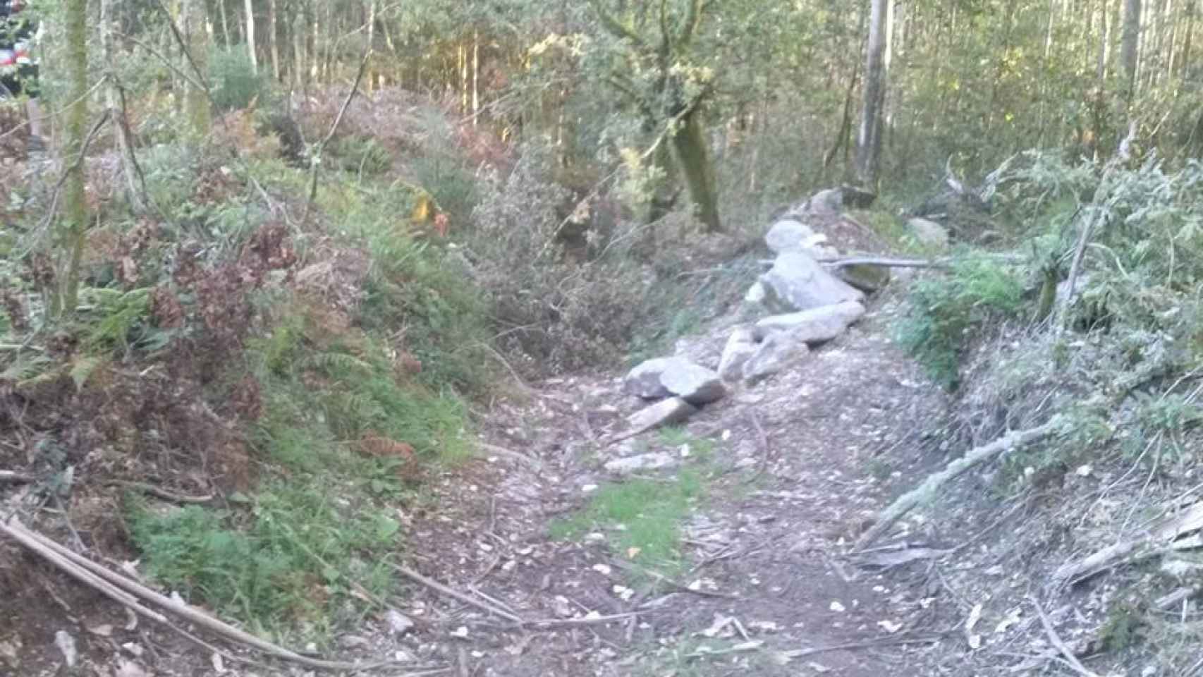 Piedras, ramas... Los obstáculos plagan los recorridos para las bicicletas.