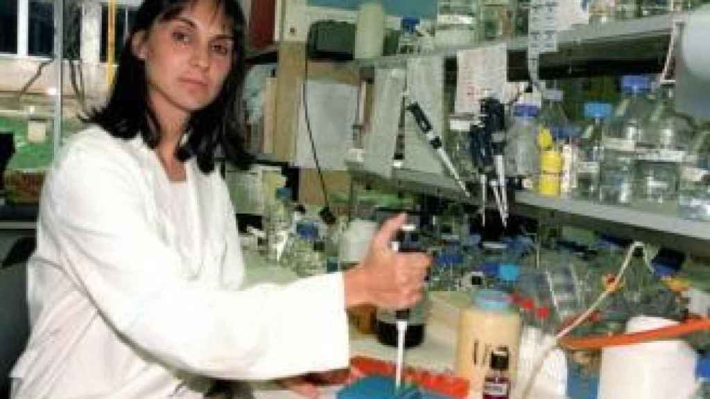 Almudena Ramón, en sus días en el CSIC.