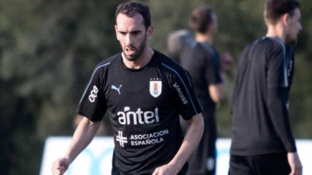 Diego Godín durante un entrenamiento con Uruguay. Foto: Twitter (@diegogodin)