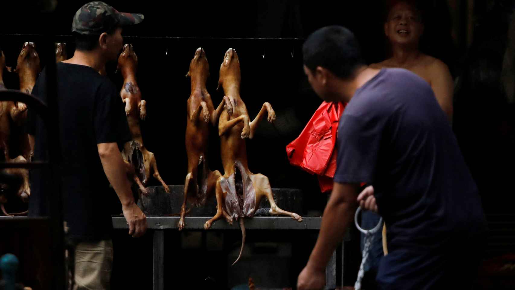 Venta de perros en un mercado chino