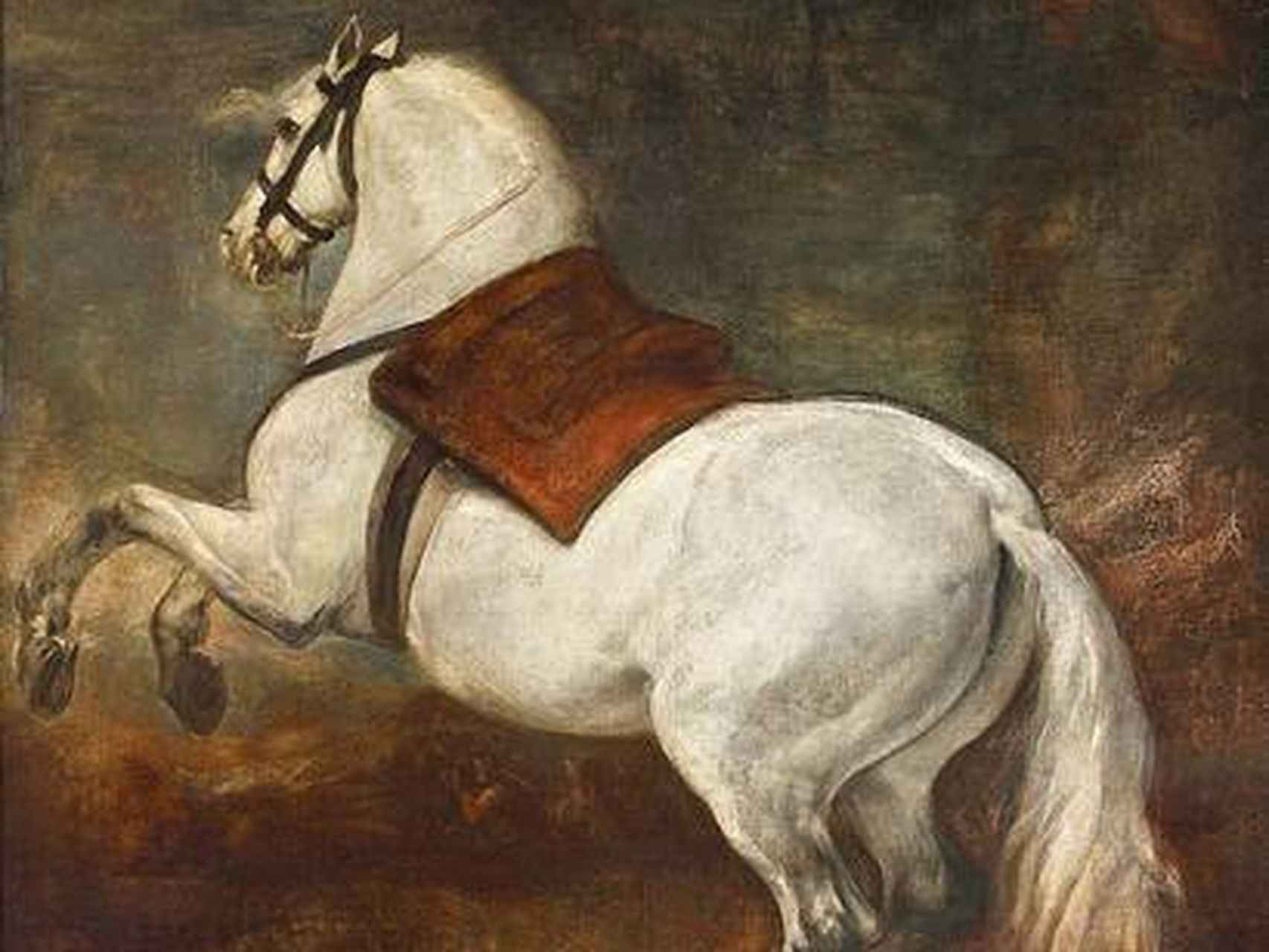 El museo mostrará este espectacular Caballo blanco de Velázquez.