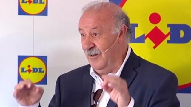 Del Bosque contesta a las acusaciones de su ayuda a Fernando Hierro en el Mundial.