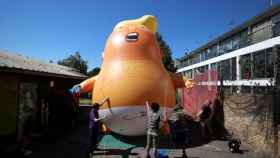 Activistas preparan el vuelo del Baby Trump