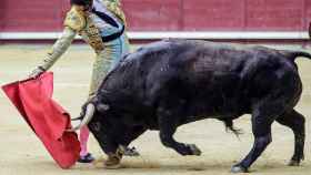 El torero Padilla sufre una dramática cogida en Arévalo