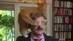 Un historiador aguanta una entrevista con un gato en su cabeza