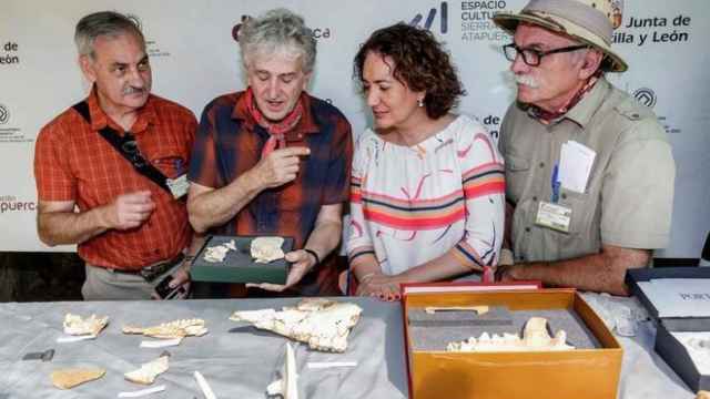 Los directores de las excavaciones arqueológicas de la sierra de Atapuerca.