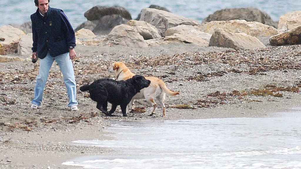 José María Aznar paseando a sus perros en Marbella (foto de archivo).