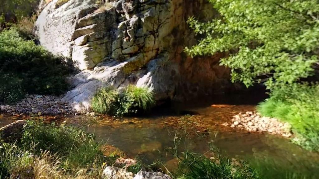 Imagen de las aguas del Almonte