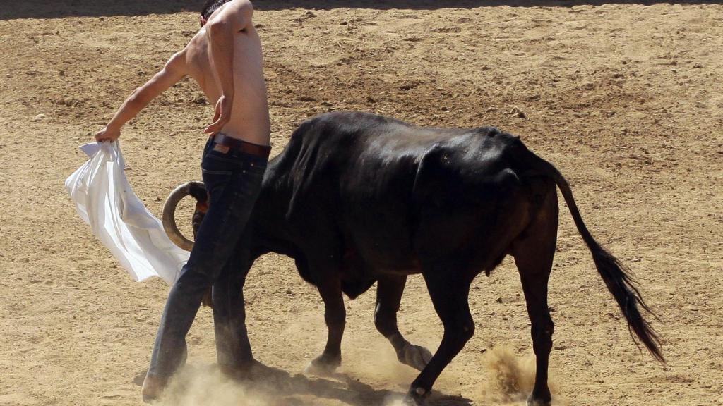 Manuel Rodríguez torea con una camisa una vaca vieja