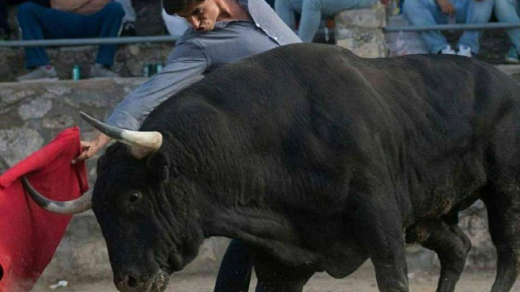Manuel Rodríguez toreando un toro en un pueblo