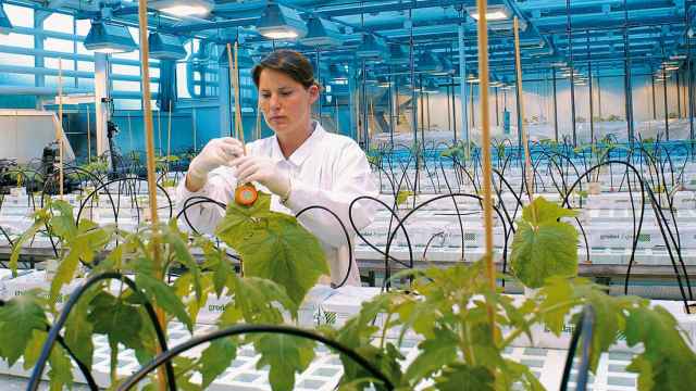 Una científica trabaja en un laboratorio de pepinos de Bayer.
