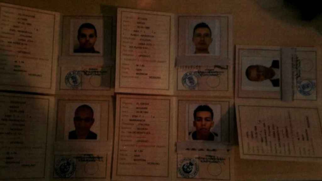 Pasaportes falsos con las fotos de varios integrantes de la red.