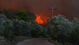 Vista del fuego en una zona forestal de Psachna, en la isla griega de Eubea, este domingo.