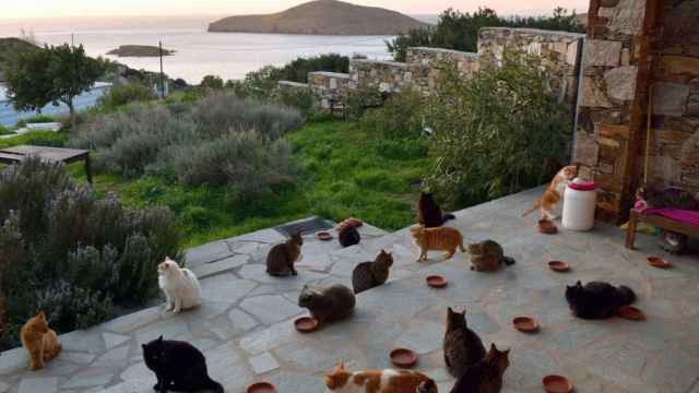 La casa tiene vistas al mar Egeo y viven en ella 55 gatos.