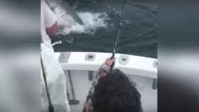 Un tiburón blanco le roba la presa a un niño que estaba pescando