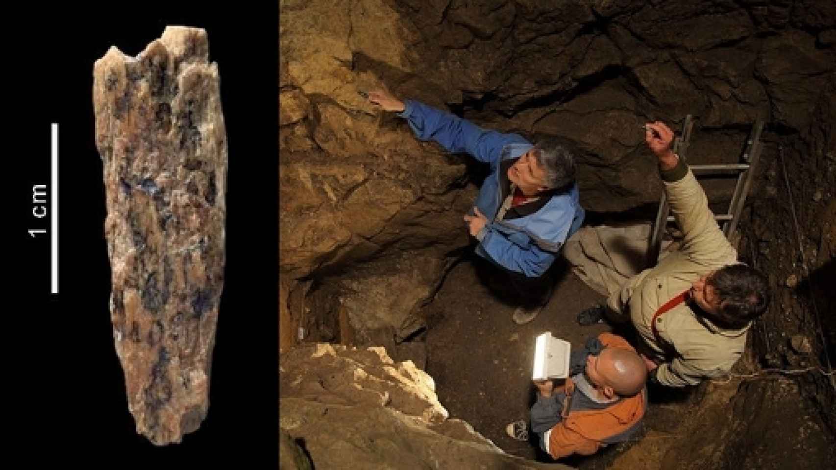 Image: Descubiertos los restos de una hija de neandertal y denisovano