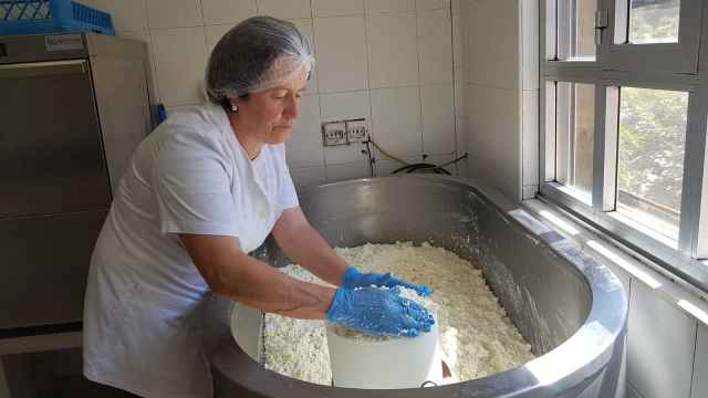 María Salud fabricando cabrales en Tielve (Asturias)