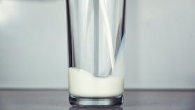 La leche y sus derivados son nuestra principal fuente de calcio.