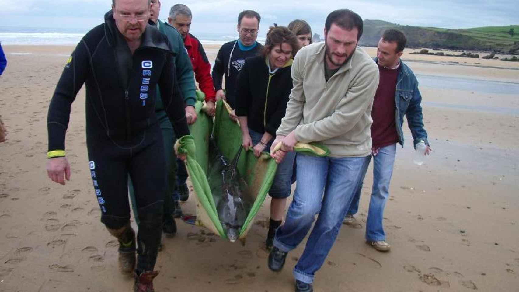 El equipo de Luis Laria, en la izquierda, rescata a un delfín varado en la playa