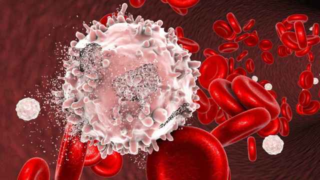 Destrucción de una célula enferma por leucemia
