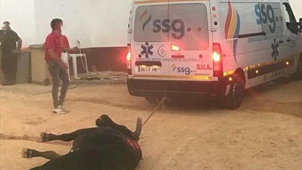 Una ambulancia retira un toro muerto del ruedo