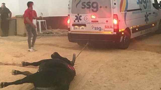 Una ambulancia retira un toro muerto del ruedo