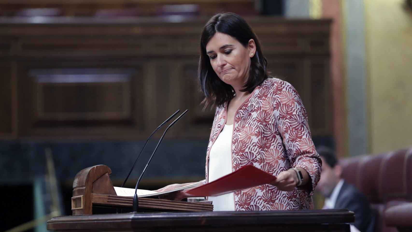 La ministra de Sanidad, Carmen Montón, durante su intervención en el pleno del Congreso.