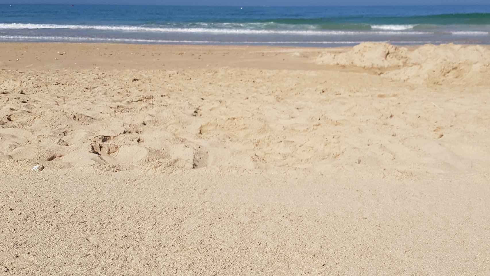 Imagen de una playa.