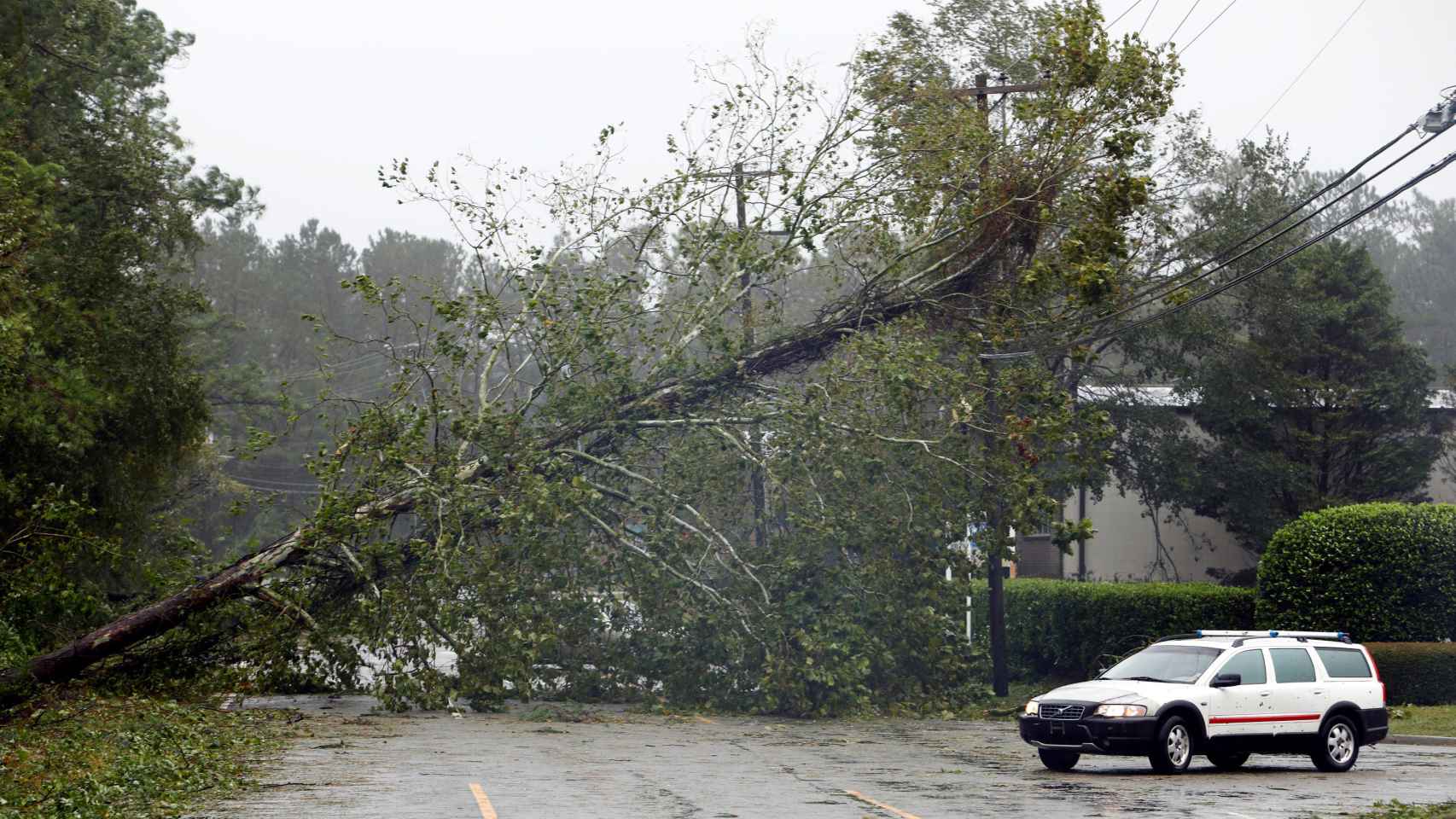 Árboles derribados por el huracán 'Florence' a su paso por  Wilmington, Carolina del Norte.