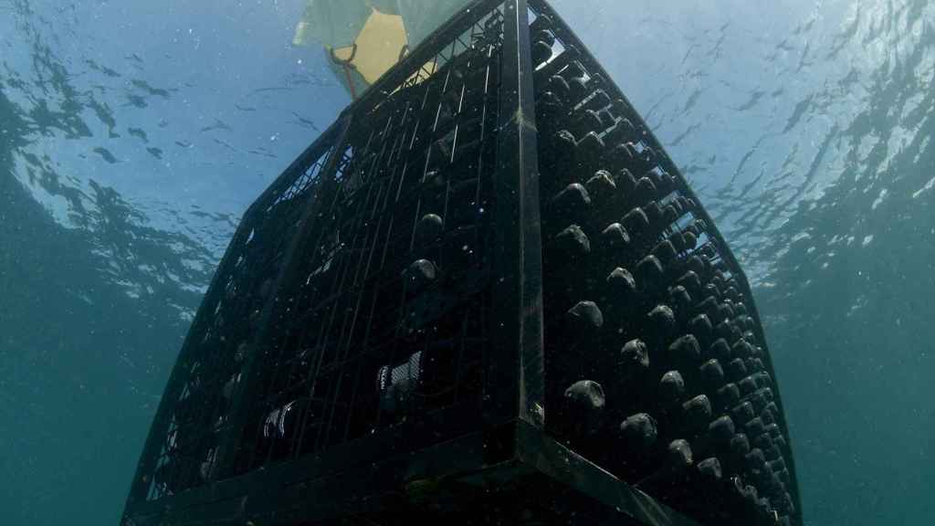 La primera bodega submarina en España