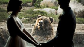 Se casan en un zoo y las caras de suegra de este oso les roban el protagonismo