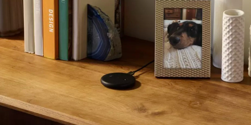 amazon echo input
