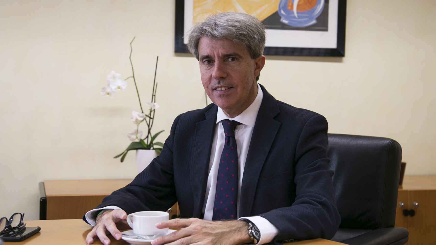 El presidente de la Comunidad de Madrid, Ángel Garrido.