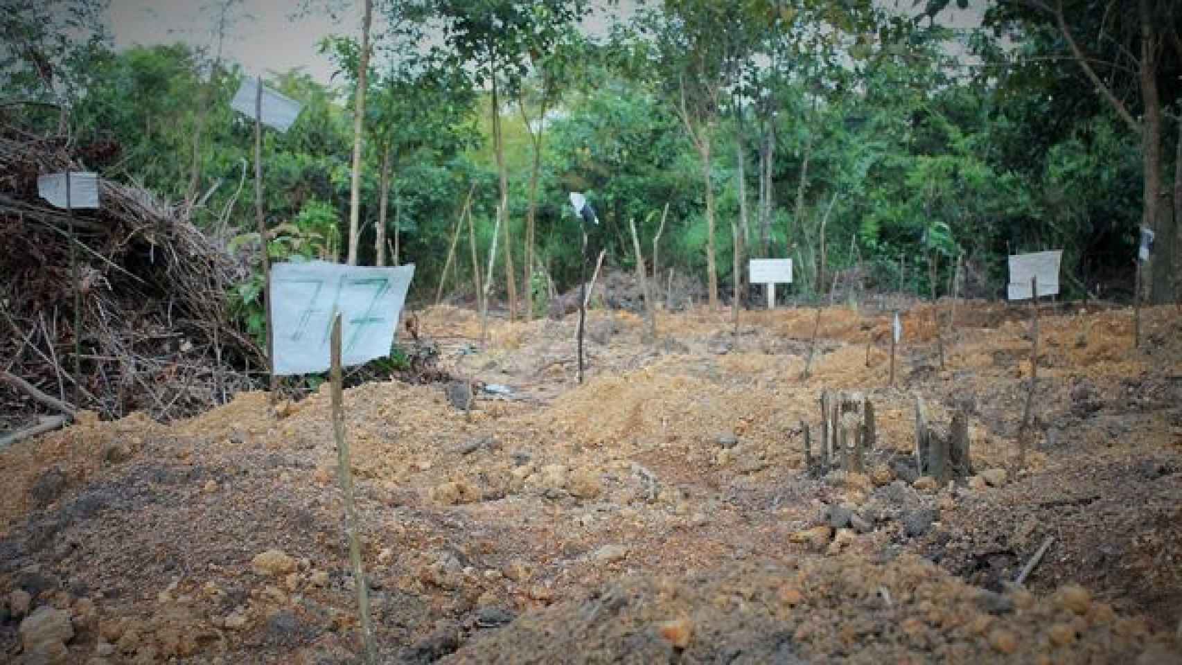 Cementerio de ébola; cuando no se sabe el nombre de la víctima, se pone la fecha de su muerte.