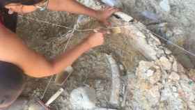 Restos del mamut hallado en el yacimiento de Tarragona.
