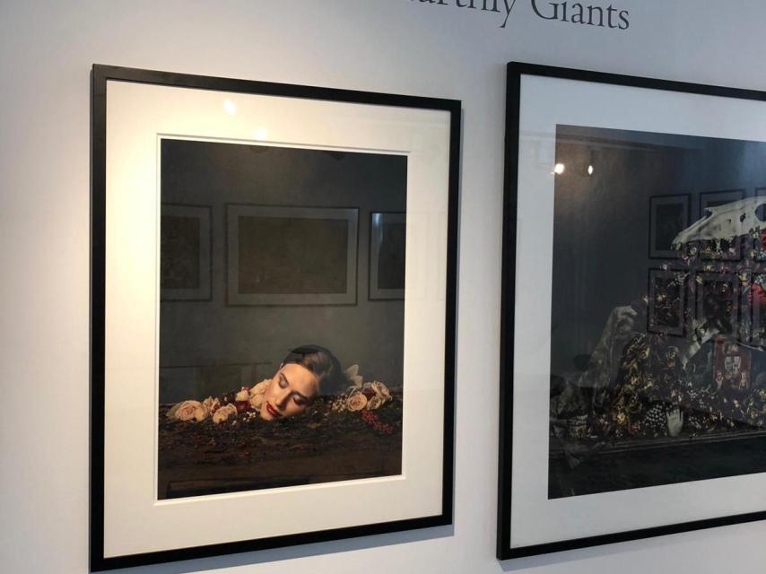 Earthly Giants