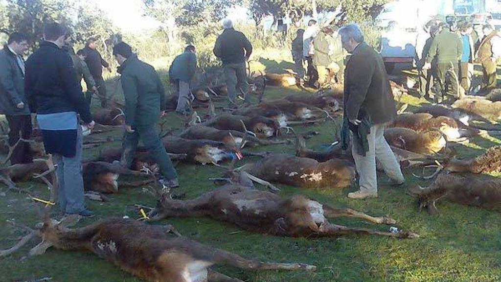 Garzón se pasea entre las piezas cobradas en la cacería./