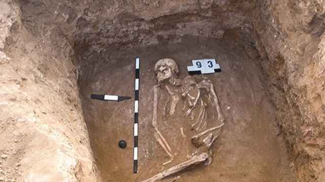 Restos desenterrados de un esqueleto yamnaya