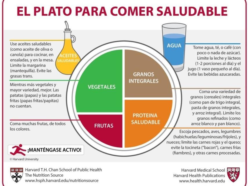 El Plato para Comer Saludable de Harvard.