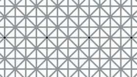 black-dot-illusion-h